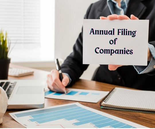 annual filing of companies
